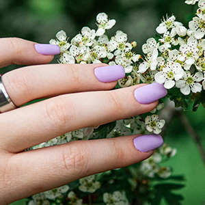 Soft Glow Nail Studio Inc gallery